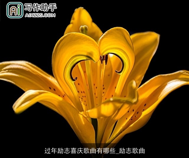 过年励志喜庆歌曲有哪些_励志歌曲