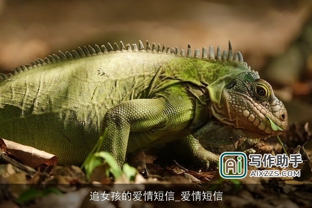 追女孩的爱情短信_爱情短信