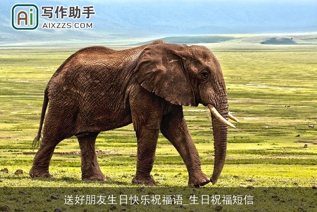 送好朋友生日快乐祝福语_生日祝福短信