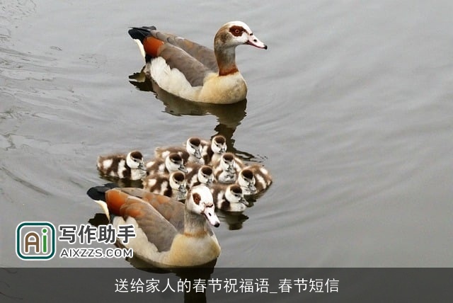 送给家人的春节祝福语_春节短信