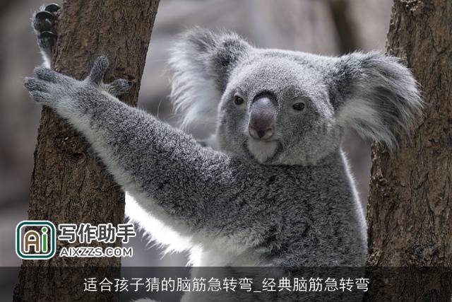 适合孩子猜的脑筋急转弯_经典脑筋急转弯