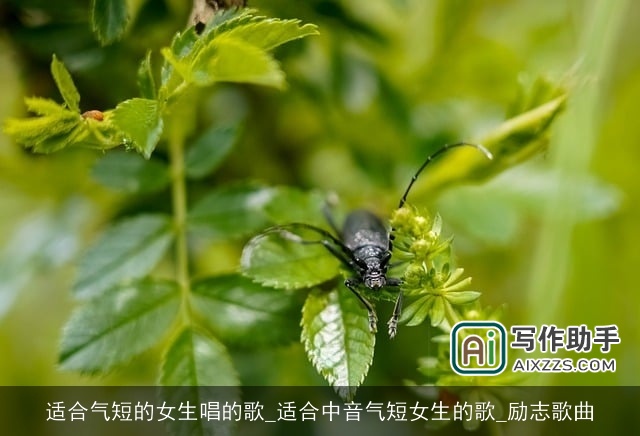 适合气短的女生唱的歌_适合中音气短女生的歌_励志歌曲