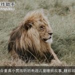 适合童真小男孩听的有趣儿童睡前故事_睡前故事