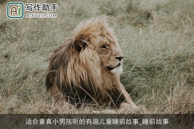 适合童真小男孩听的有趣儿童睡前故事_睡前故事