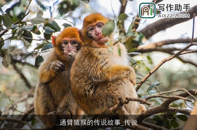 通臂猿猴的传说故事_传说