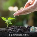 逼格高的座右铭_座右铭