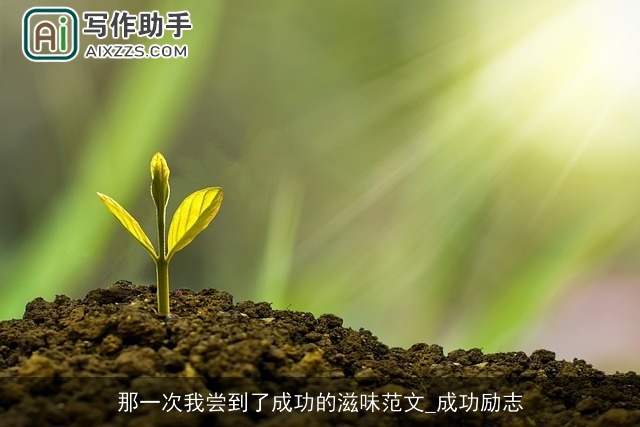 那一次我尝到了成功的滋味范文_成功励志