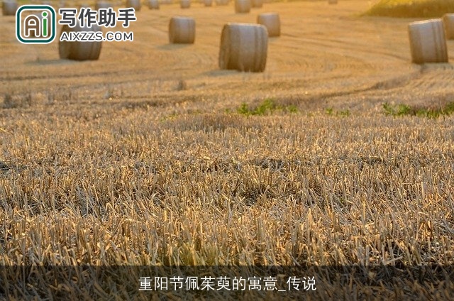 重阳节佩茱萸的寓意_传说