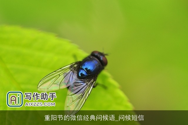 重阳节的微信经典问候语_问候短信