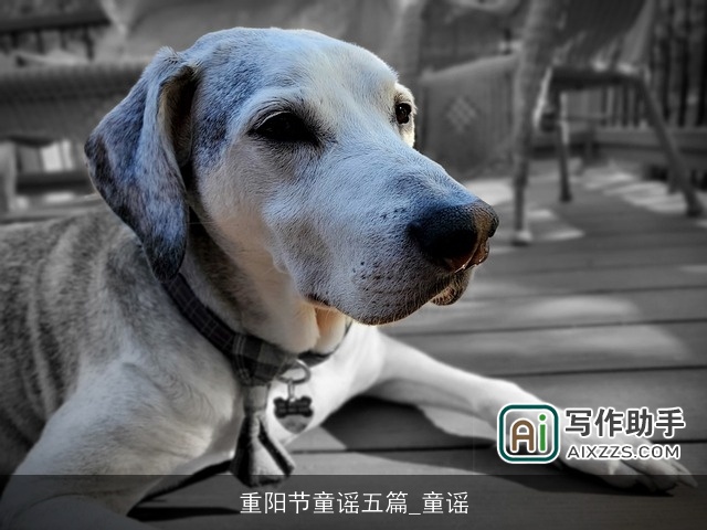 重阳节童谣五篇_童谣