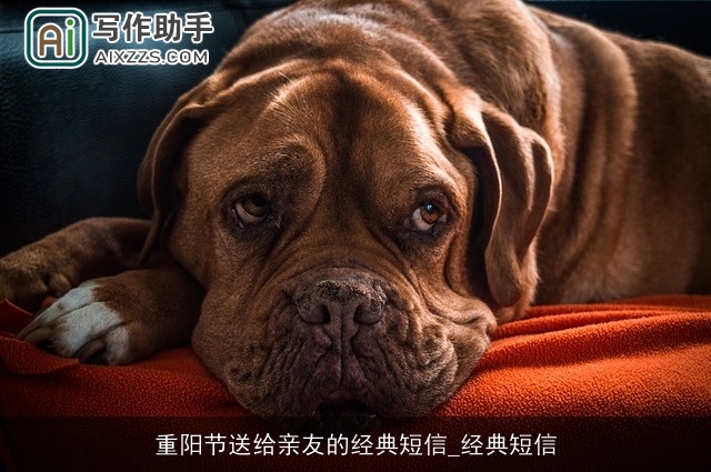 重阳节送给亲友的经典短信_经典短信