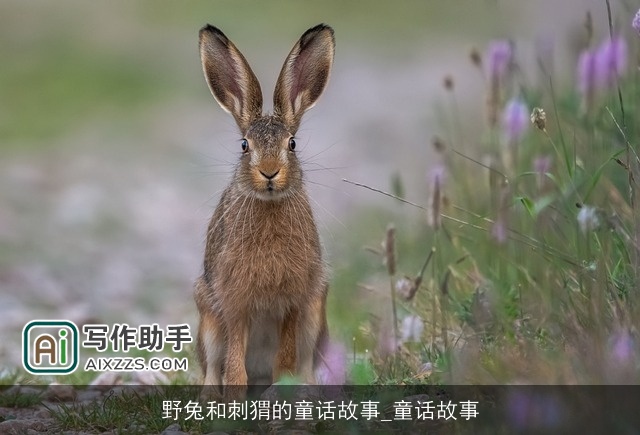 野兔和刺猬的童话故事_童话故事