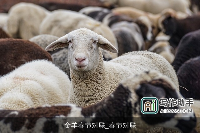 金羊春节对联_春节对联