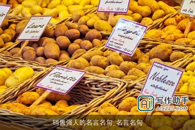 销售强人的名言名句_名言名句