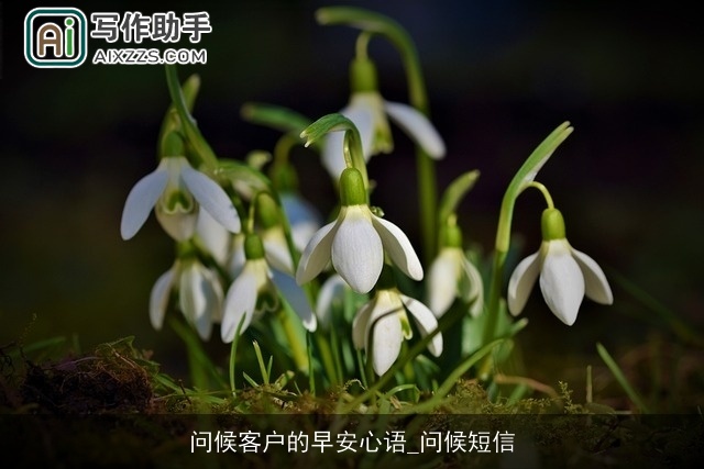 问候客户的早安心语_问候短信