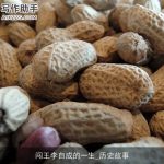 闯王李自成的一生_历史故事