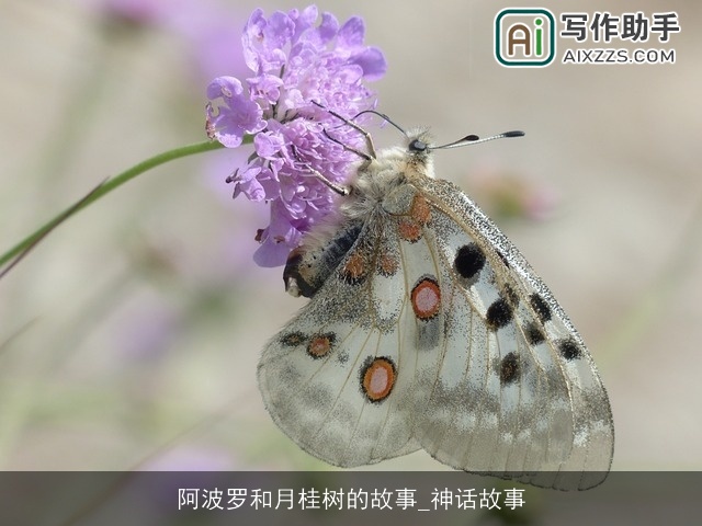 阿波罗和月桂树的故事_神话故事