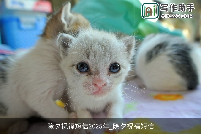 除夕祝福短信2025年_除夕祝福短信