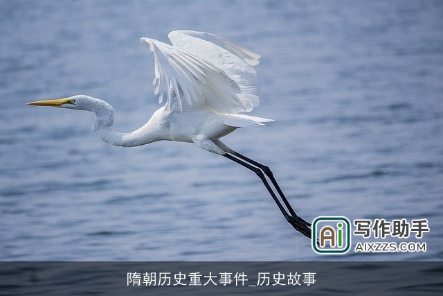 隋朝历史重大事件_历史故事