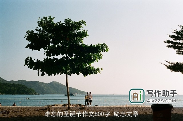 难忘的圣诞节作文800字_励志文章