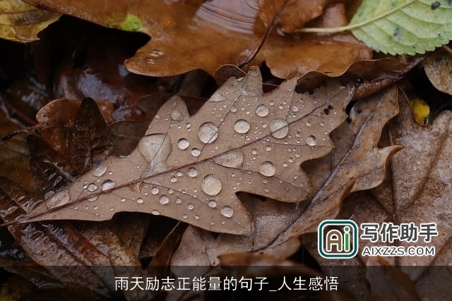 雨天励志正能量的句子_人生感悟