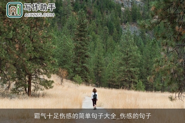 霸气十足伤感的简单句子大全_伤感的句子