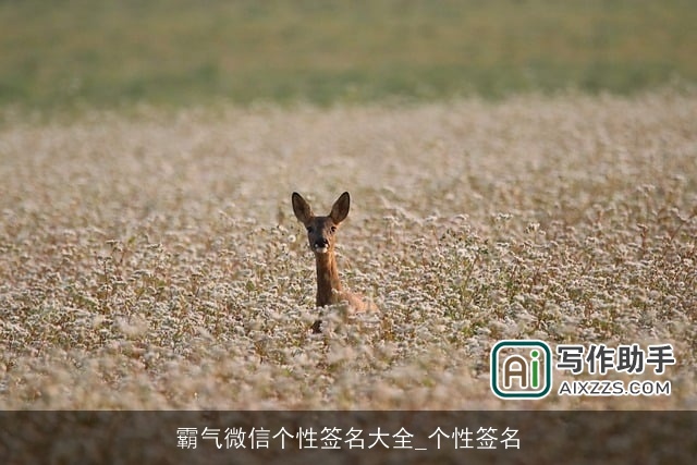 霸气微信个性签名大全_个性签名