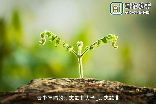 青少年唱的励志歌曲大全_励志歌曲