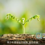 青少年青春励志歌曲_励志歌曲
