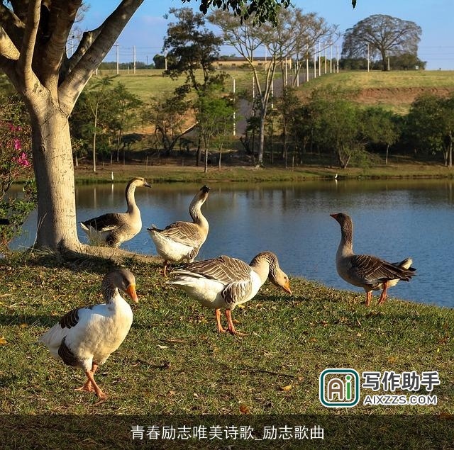 青春励志唯美诗歌_励志歌曲