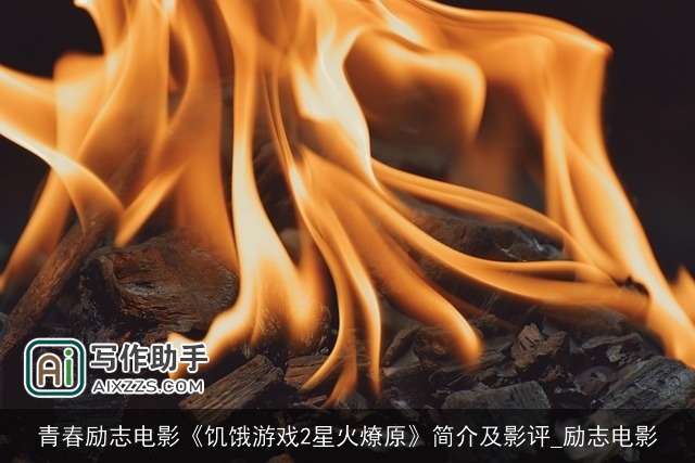 青春励志电影《饥饿游戏2星火燎原》简介及影评_励志电影