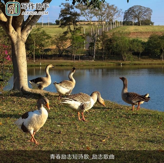 青春励志短诗歌_励志歌曲