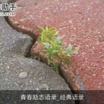 青春励志语录_经典语录