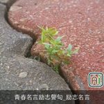 青春名言励志警句_励志名言