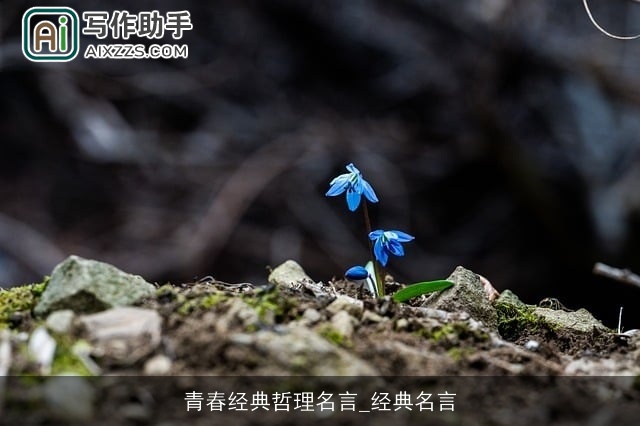 青春经典哲理名言_经典名言