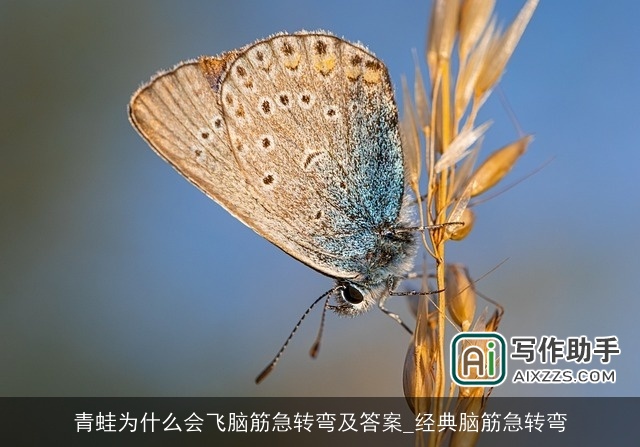 青蛙为什么会飞脑筋急转弯及答案_经典脑筋急转弯