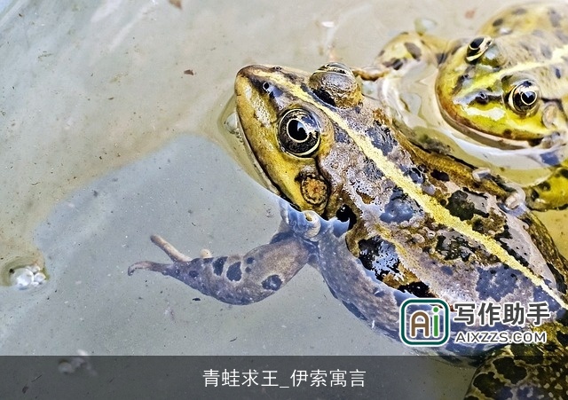 青蛙求王_伊索寓言