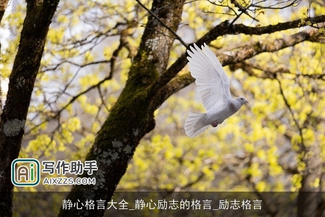 静心格言大全_静心励志的格言_励志格言