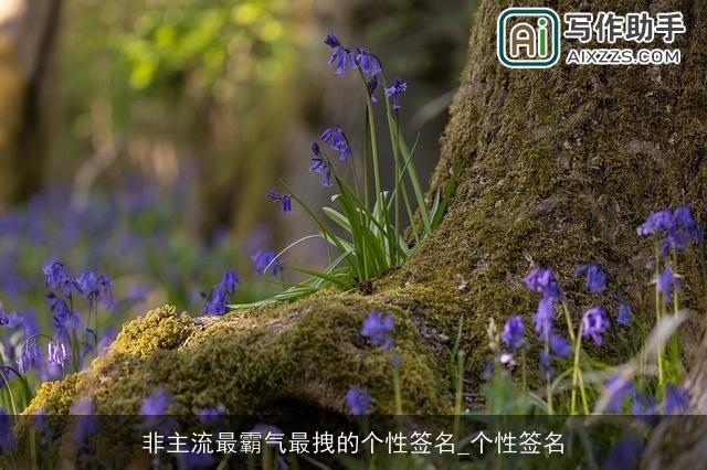 非主流最霸气最拽的个性签名_个性签名