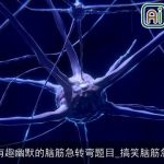 非常有趣幽默的脑筋急转弯题目_搞笑脑筋急转弯