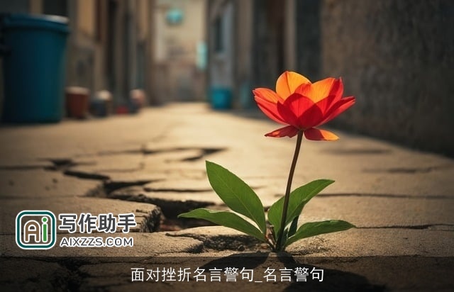 面对挫折名言警句_名言警句