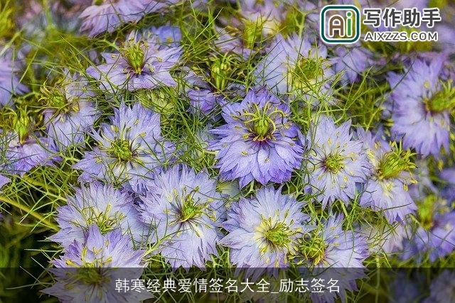 韩寒经典爱情签名大全_励志签名