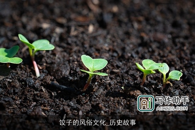 饺子的风俗文化_历史故事