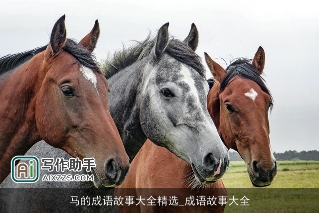 马的成语故事大全精选_成语故事大全