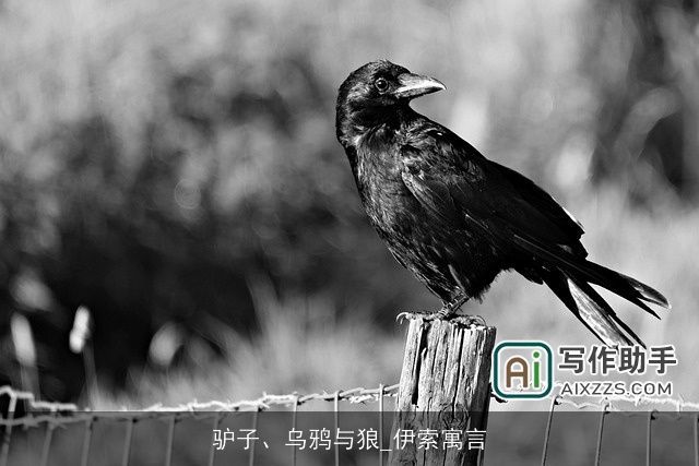 驴子、乌鸦与狼_伊索寓言