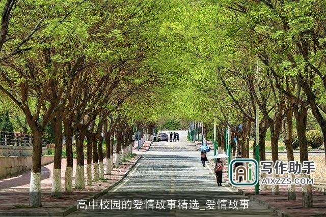 高中校园的爱情故事精选_爱情故事