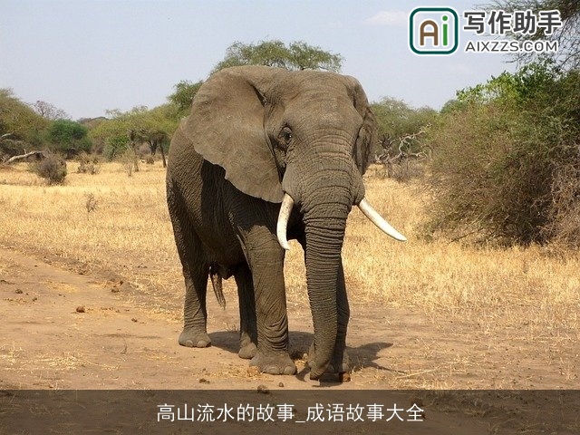 高山流水的故事_成语故事大全