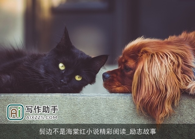 鬓边不是海棠红小说精彩阅读_励志故事