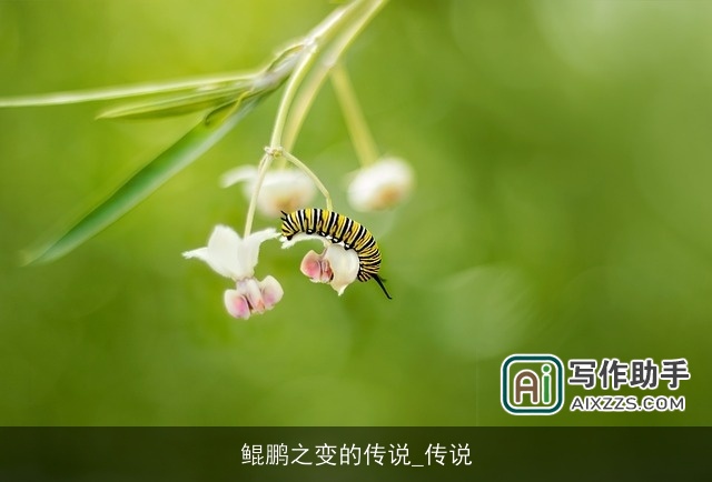 鲲鹏之变的传说_传说