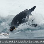 鳌拜怎么死的_历史上真实的的鳌拜是怎么死的_历史故事